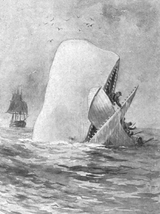 Moby_Dick_illustration